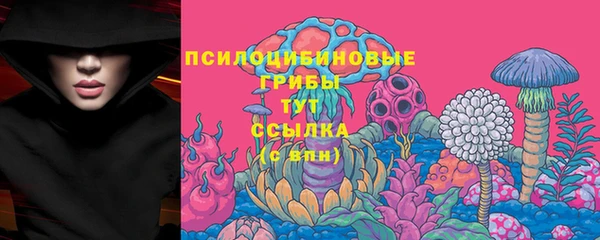гашик Алапаевск