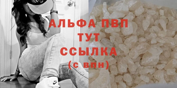 спайс Баксан
