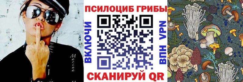 Галлюциногенные грибы Psilocybine cubensis Билибино